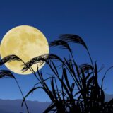 🌝9月　オータムセール🌝