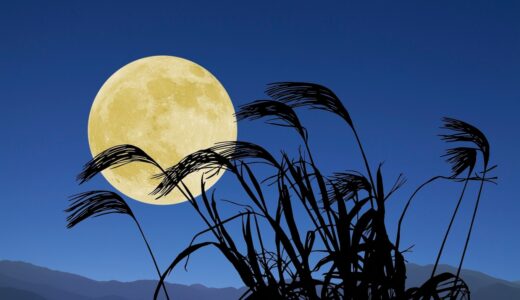 🌝9月　オータムセール🌝